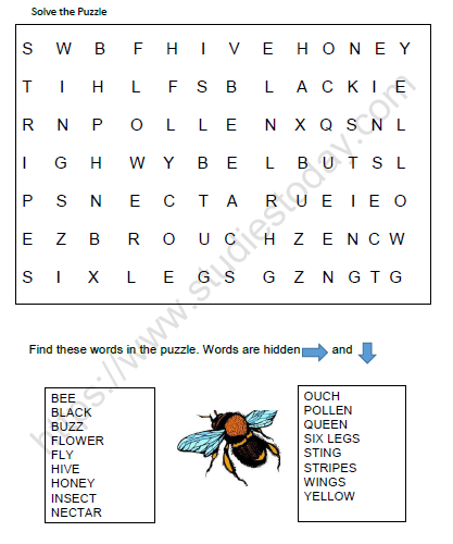 Cbse class 3 evs web of life worksheet